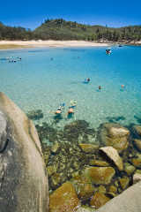 Schnorcheln vor Magnetic Island von Tourism Queensland  c/o Global Spot